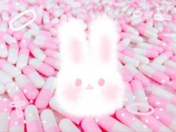 User Profile: MenheraBunny