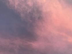 User Profile: peachflwrs