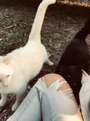 User Profile: orangeWatermelon5586