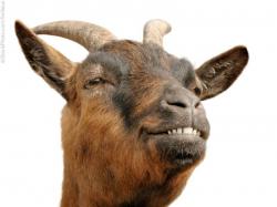 User Profile: ExDesertScapegoat