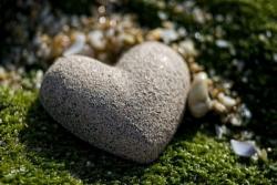 User Profile: TheConcreteHeart