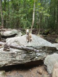 User Profile: Mountaintime247