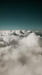 User Profile: livelysky