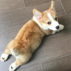 User Profile: bbxh3