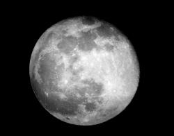 User Profile: HiddenMoon