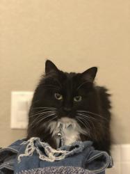 User Profile: Miau5115