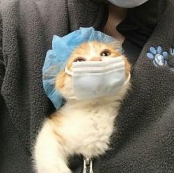 User Profile: JarOfCaramel