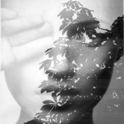 User Profile: Daydreamer333