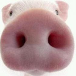 User Profile: Chicasad