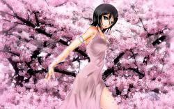 User Profile: Cherryblossoms17