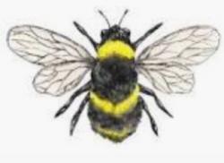 User Profile: BumblebeeHeart