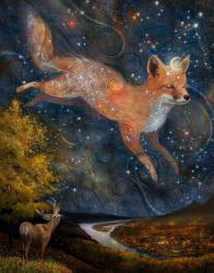 User Profile: imsomefox