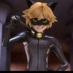 User Profile: CatNoir343