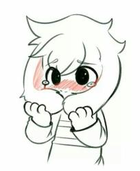 User Profile: GobiBear