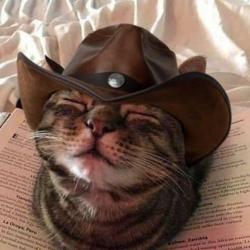 User Profile: amiableSquare3467