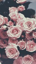 User Profile: clare7199