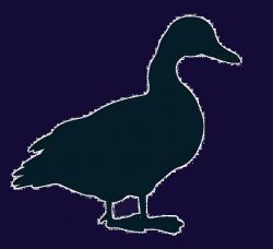 User Profile: wickedduck