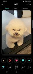 User Profile: SoftHufflepuff