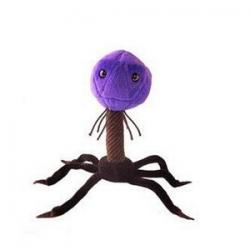 User Profile: ThePhageMage