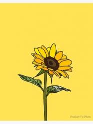 User Profile: Sunflower2323