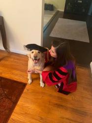 User Profile: legallybrunette03