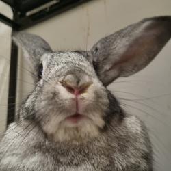 User Profile: Georgie1323