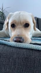 User Profile: Puddleink