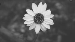 User Profile: AleahMay15