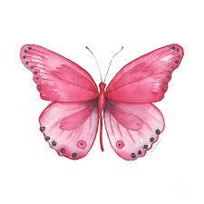 User Profile: Abutterfly17