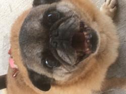 Profile: EeveeDay22
