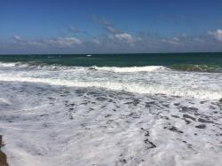 User Profile: compassionateBeach2730