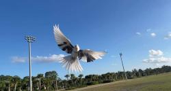 User Profile: Animals4life111