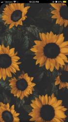 User Profile: carsey05
