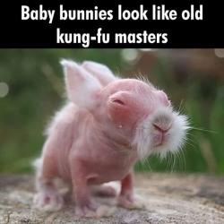 User Profile: Gonebutnotforgotten1