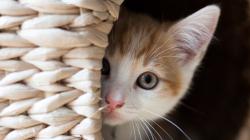 User Profile: maricat30