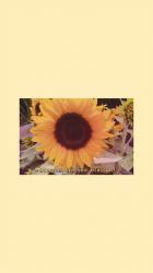 User Profile: arthoegloria29