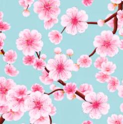User Profile: SakuraStar