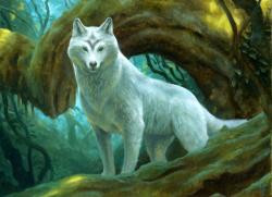 User Profile: SilvaLunae