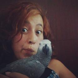 User Profile: aysegull