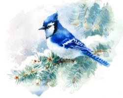 User Profile: Feathersfall