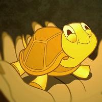 User Profile: goldenTurtle6656