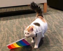 User Profile: Roygbiv306