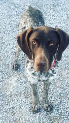 User Profile: Muireann