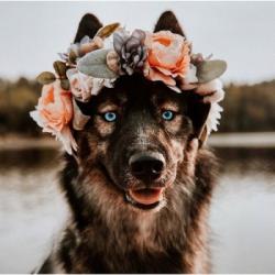 User Profile: cccassandra