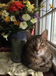 User Profile: kindOwl6756