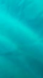 User Profile: BlueNeonWriter