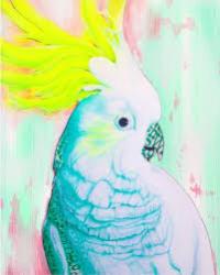 User Profile: ImmediateCockatoo26