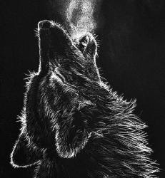 User Profile: MoonlitWolf