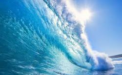 User Profile: powerfulOcean3550