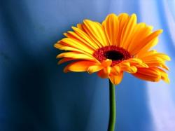 User Profile: shaylilzzy